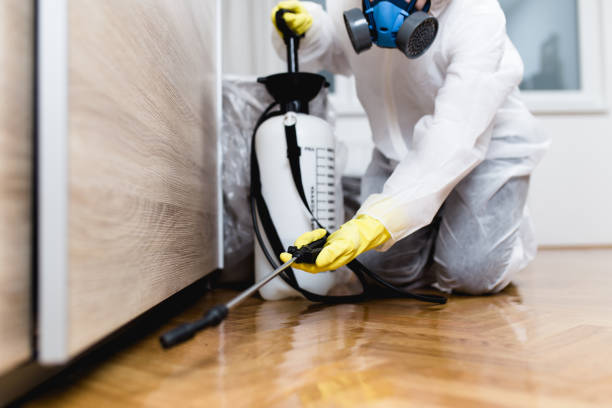Best Rat Extermination Near Me  in Wautoma, WI