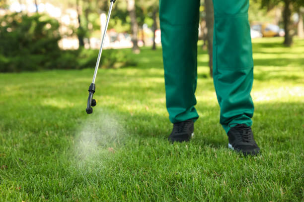 Best Mosquito Control Services  in Wautoma, WI
