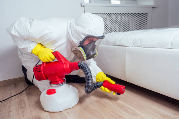 Best Local Pest Control Services  in Wautoma, WI