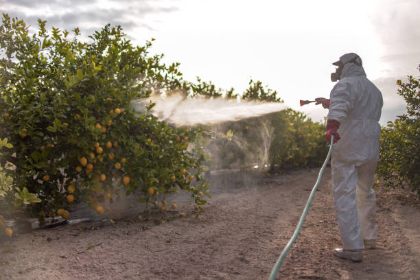 Best Pest Removal Services  in Wautoma, WI