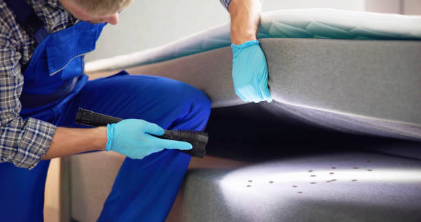 Best Bed Bug Extermination  in Wautoma, WI