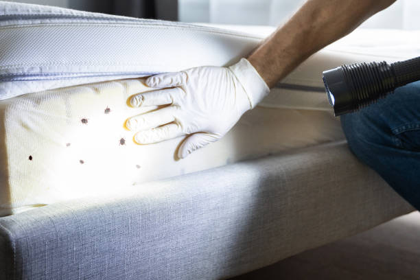 Best Affordable Pest Control Services  in Wautoma, WI