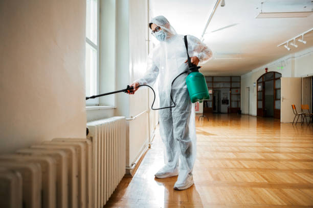 Best Termite Control Services  in Wautoma, WI