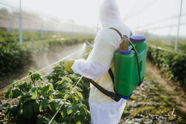 Best Bed Bug Extermination  in Wautoma, WI